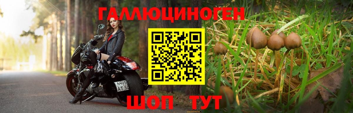 Полысаево  Псилоцибиновые грибы ЛСД  Вход с VPN 